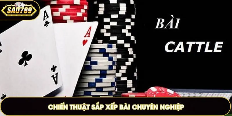 Chiến thuật sắp xếp bài chuyên nghiệp