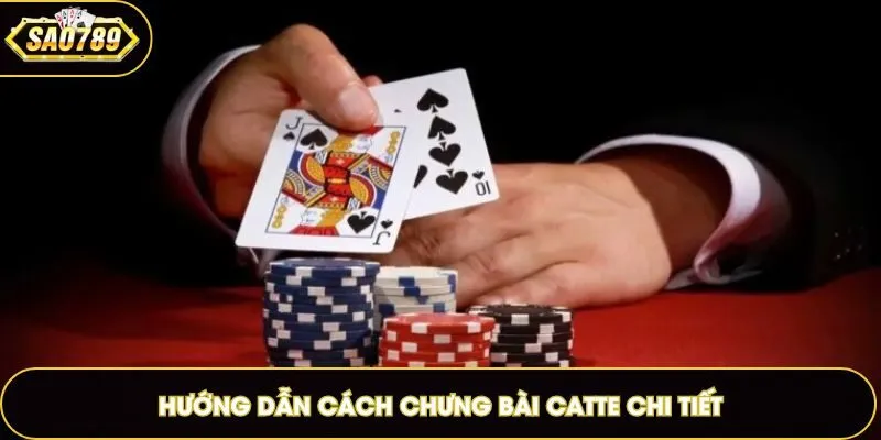 Hướng dẫn cách chưng bài Catte chi tiết