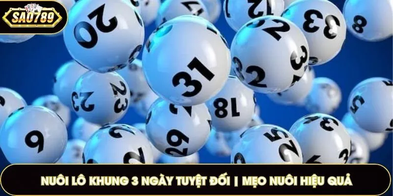 nuôi lô khung 3 ngày tuyệt đối