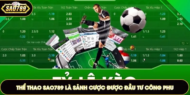 Thể thao Sao789 là sảnh cược được đầu tư công phu